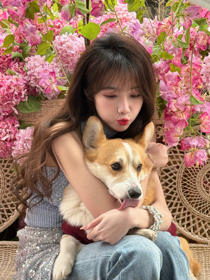 炫网tv
